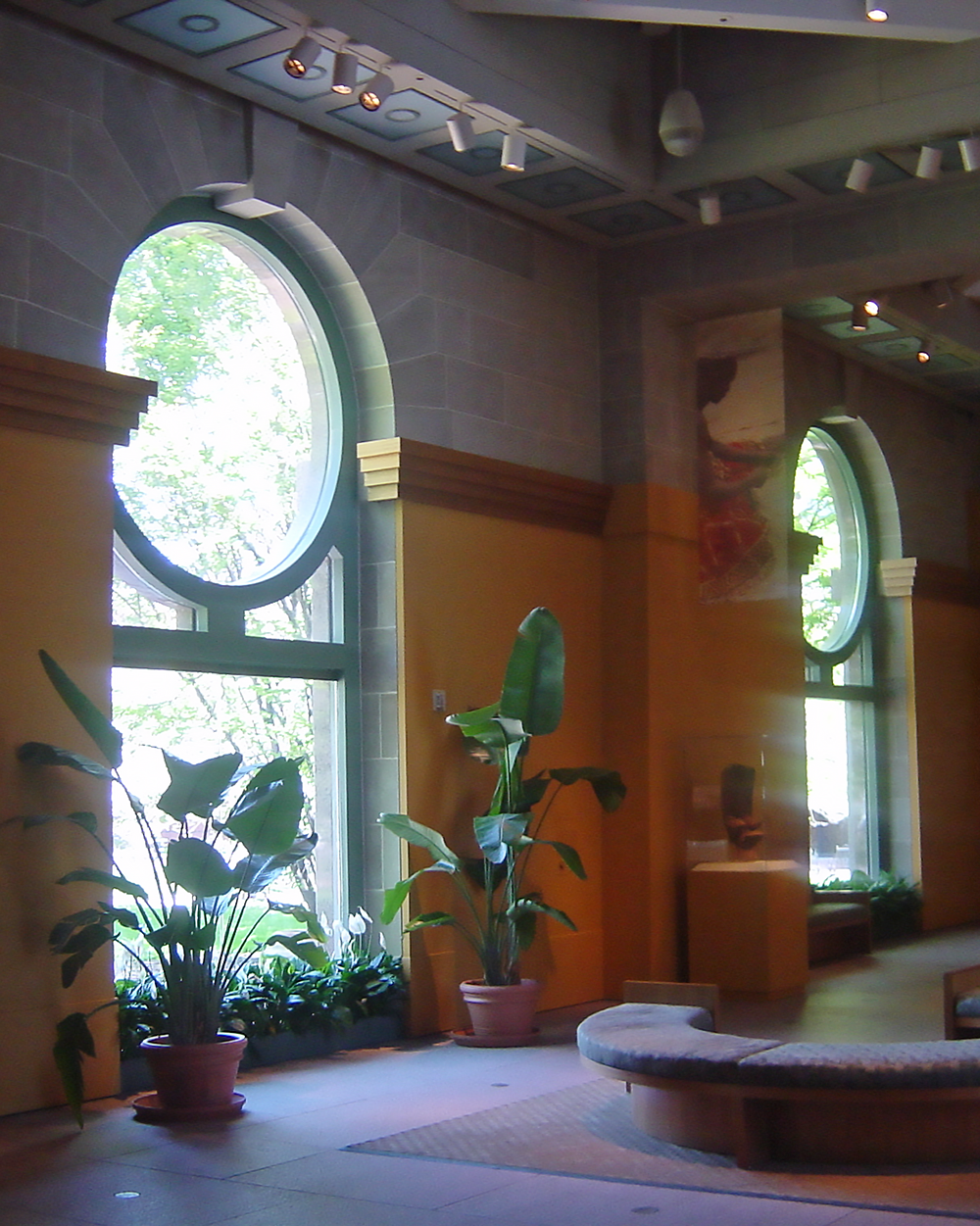 Building interior with GlassLock solar window film reducing heat and glare