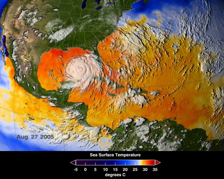 Hurricane Katrina satellite weather map showing sea surface temperature August 2005